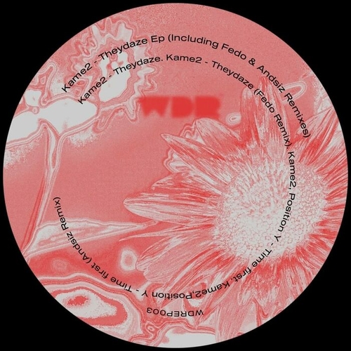 Kame2, Position Y - Theydaze (Including Fedo & Andsiz Remixes) [WDREP003]